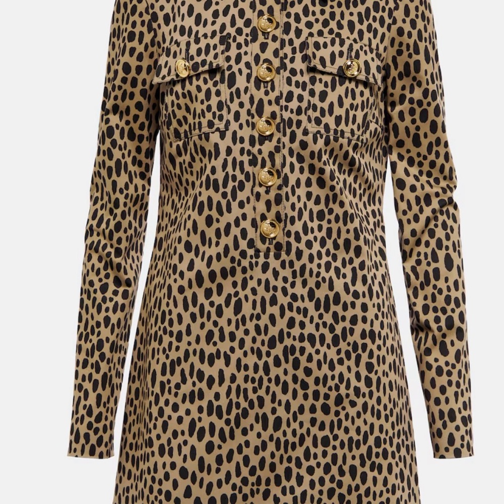 Elegant Animal Print Long Sleeve Dress NWOT